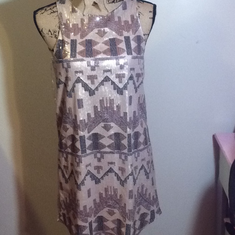 Fancy Shimmery Dress!